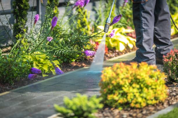 Trusted Forks, WA Pressure Washing Services Experts
